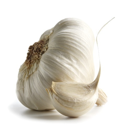 HP Garlic — Чеснок - 1