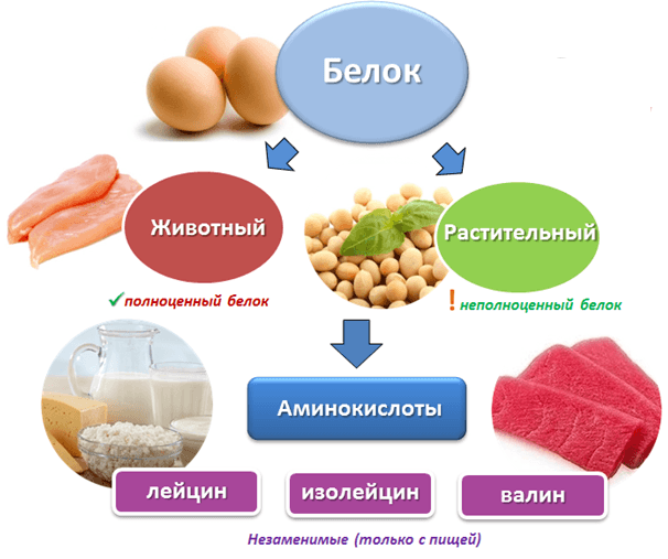 Free Amino Acids — Свободные аминокислоты (Пептовит) - 2