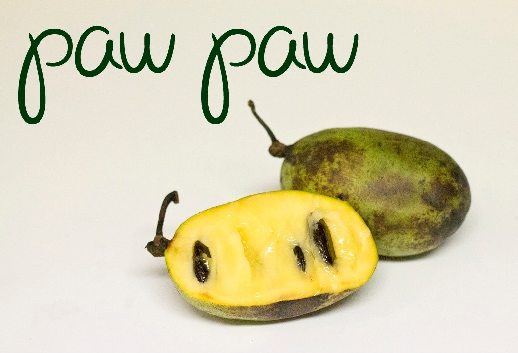 Paw Paw — Пау Пау - 2