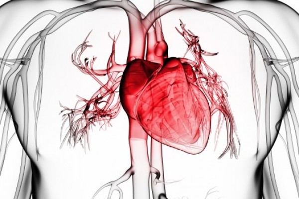 Набор «Здоровое сердце» - 2